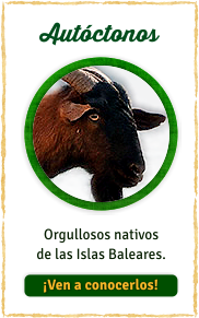 Animales Autóctonos de Baleares