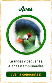 Aves de Natura Parc