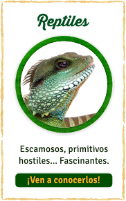 Reptiles de Natura Parc