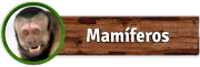 Botón Mamíferos