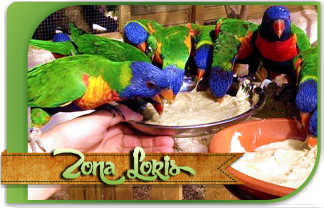 Zona Loris